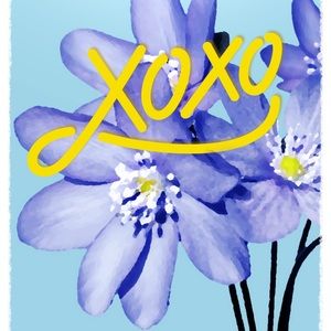 CCO special! Make me an offer!